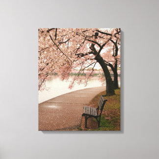 Cherry Blossom Canvas Afdruk