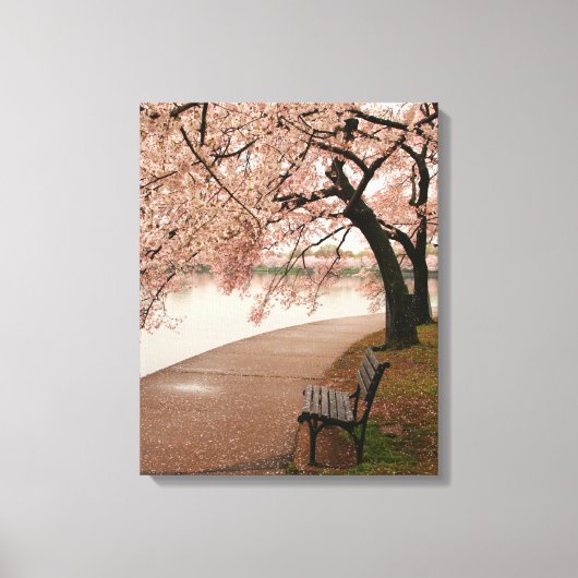 Cherry Blossom Canvas Afdruk (Voorkant)