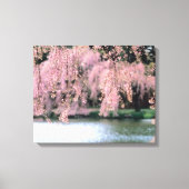 Cherry Blossom Canvas Afdruk (Voorkant)