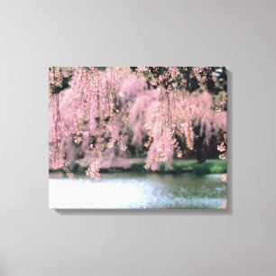 Cherry Blossom Canvas Afdruk