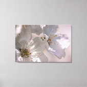 Cherry Blossom Canvas Afdruk (Voorkant)