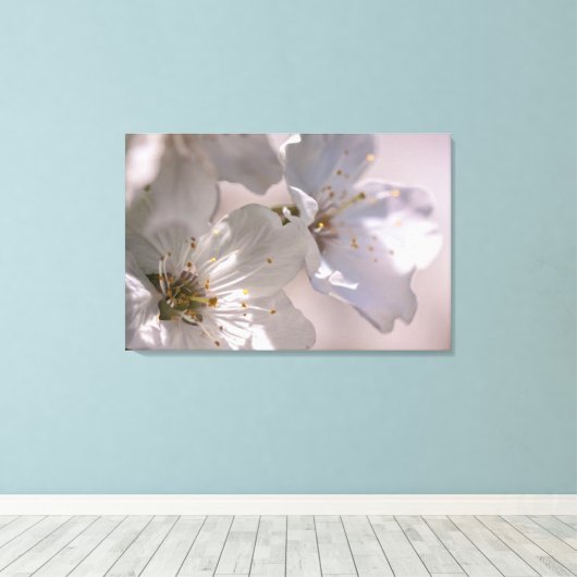 Cherry Blossom Canvas Afdruk (Insitu (Houten vloer))