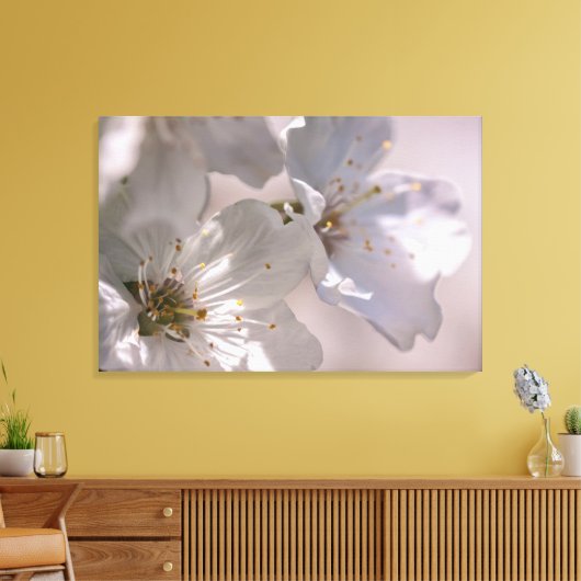 Cherry Blossom Canvas Afdruk (Insitu (Woonkamer))