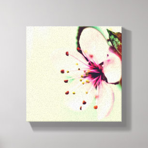 Cherry Blossom Canvas Afdruk