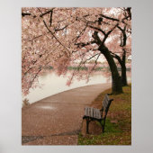Cherry Blossom Canvas Print (Voorkant)