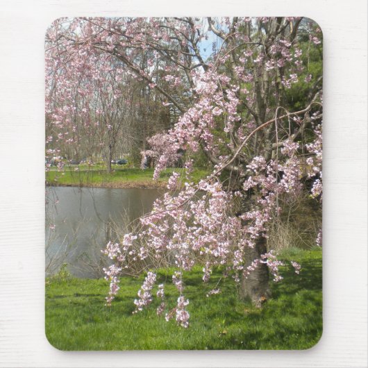 Cherry Blossom door de Muismat water (Voorkant)