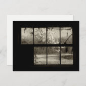Cherry Blossom door een Old Barn Window Briefkaart (Voorkant / Achterkant)