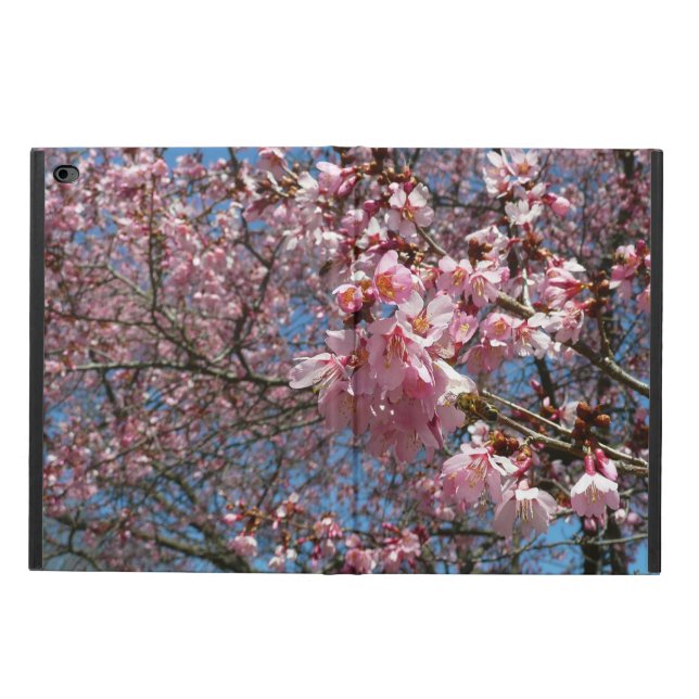 Cherry Blossom en Bee Pink Spring Flowers (Buitenkant)
