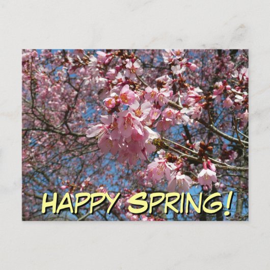 Cherry Blossom en Bee Pink Spring Flowers Briefkaart (Voorkant)