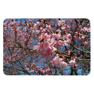Cherry Blossom en Bee Pink Spring Flowers Magneet