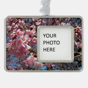Cherry Blossom en Bee Pink Spring Flowers Verzilverd Kader Ornament