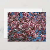 Cherry Blossom en Blue Sky Spring Floral (Voorkant / Achterkant)