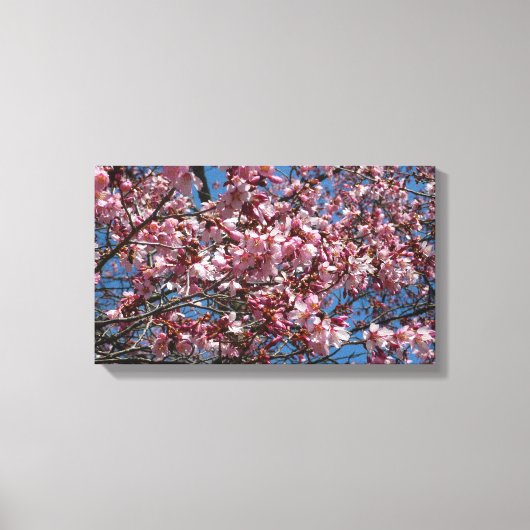 Cherry Blossom en Blue Sky Spring Floral Canvas Afdruk (Voorkant)