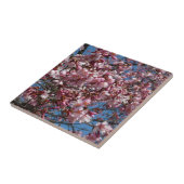 Cherry Blossom en Blue Sky Spring Floral Tegeltje (Zijkant)