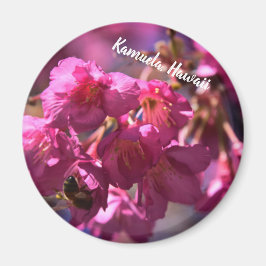 Cherry Blossom en een bij Magneet