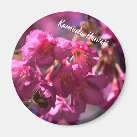 Cherry Blossom en een bij Magneet (Voorkant)