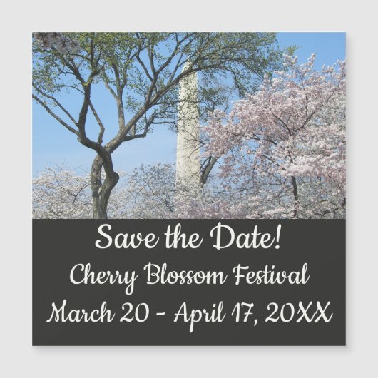 Cherry Blossom en het Washington Monument in DC (Voorkant)