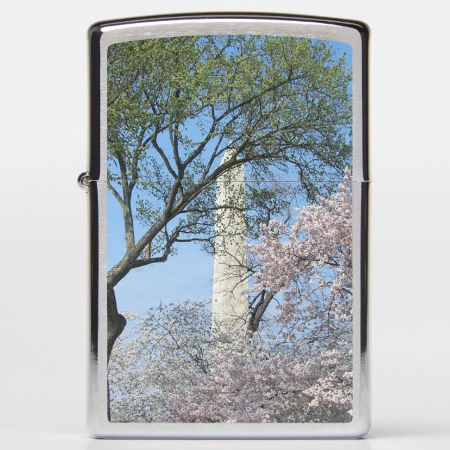 Cherry Blossom en het Washington Monument in DC (Voorkant)