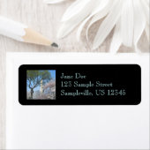 Cherry Blossom en het Washington Monument in DC Etiket (Insitu)