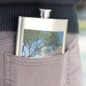 Cherry Blossom en het Washington Monument in DC Flacon (Voorbeeld)