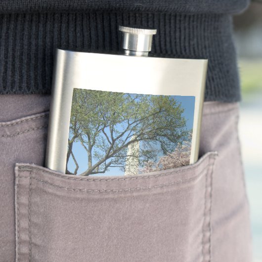 Cherry Blossom en het Washington Monument in DC Flacon (Voorbeeld)