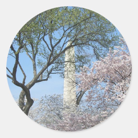 Cherry Blossom en het Washington Monument in DC Ronde Sticker (Voorkant)