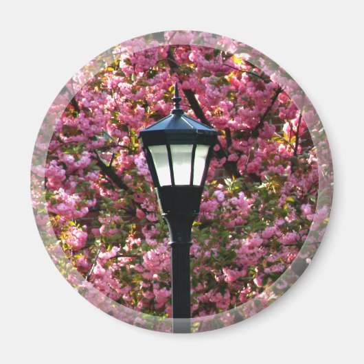 Cherry Blossom en Lamp Magnet Favor Magneet (Voorkant)