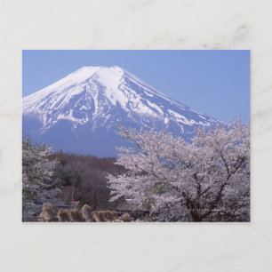 Cherry Blossom en Mt. Fuji Briefkaart