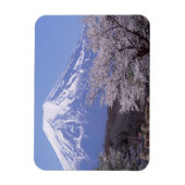Cherry Blossom en Mt. Fuji Magneet (Verticaal)
