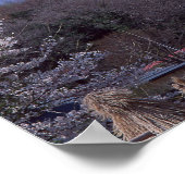 Cherry Blossom en Mt. Fuji Poster (Hoek)