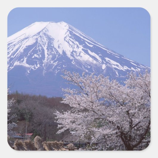 Cherry Blossom en Mt. Fuji Vierkante Sticker (Voorkant)