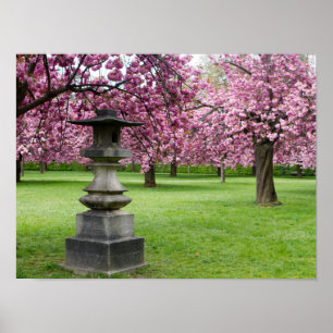 Cherry Blossom en Pagoda Poster Paper (Matte)