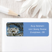 Cherry Blossom Etiket (Insitu)