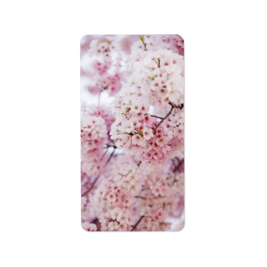 Cherry Blossom Etiket (Voorkant)