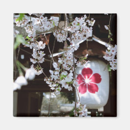 Cherry Blossom Festival in Kyoto Magneet