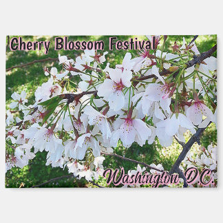 Cherry Blossom Festival Washington D.C. Magnet Magneet