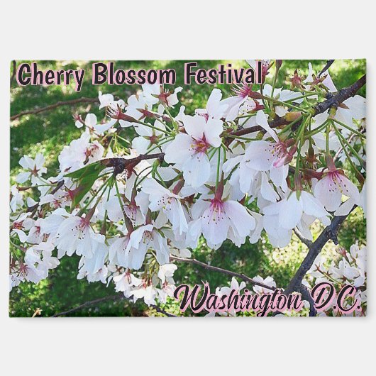 Cherry Blossom Festival Washington D.C. Magnet Magneet (Voorkant)