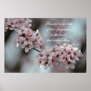 Cherry Blossom Floral Poster
