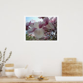 Cherry Blossom Flower Poster (Keuken)