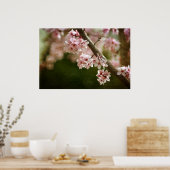 Cherry Blossom Flowers Poster (Keuken)