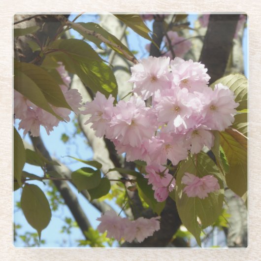 Cherry blossom foto glazen onderzetter (Voorkant)