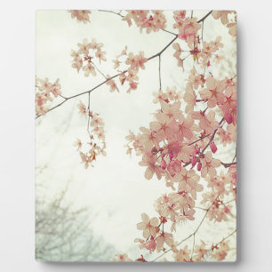 Cherry Blossom Fotoplaat