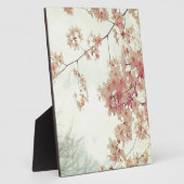 Cherry Blossom Fotoplaat (Zijkant)
