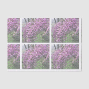 Cherry Blossom French Script Decoupage Tissuepapier