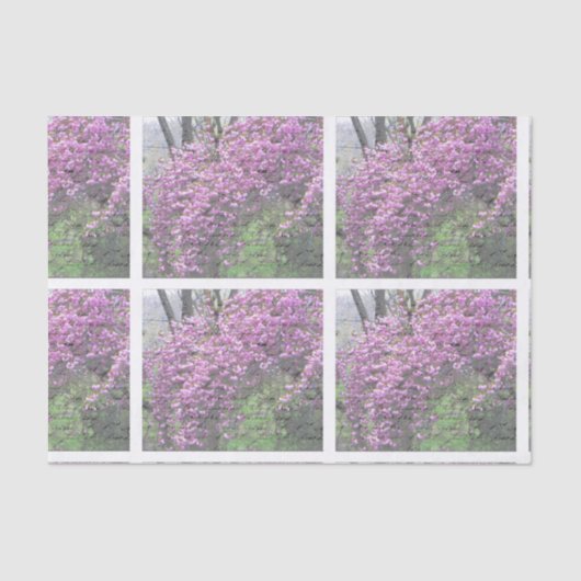 Cherry Blossom French Script Decoupage Tissuepapier (Voorkant)