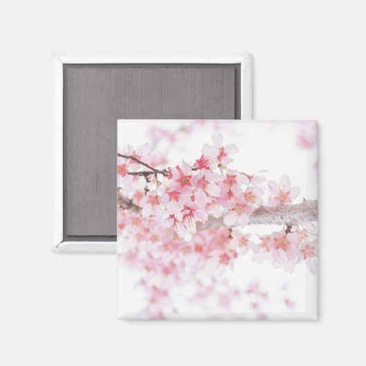 CHERRY BLOSSOM FRIDGE MAGNET (Recto/Verso)