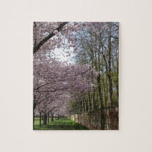 Cherry Blossom Garden Legpuzzel