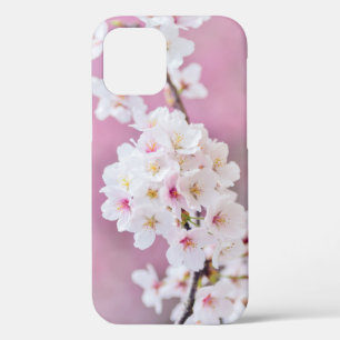Cherry Blossom Gift Box Hoesje-Mate iPhone Case