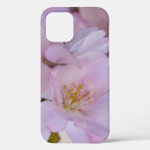 Cherry Blossom Gift Box Hoesje-Mate iPhone Case (Achterkant)