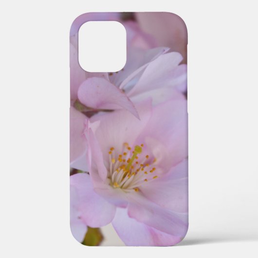 Cherry Blossom Gift Box Hoesje-Mate iPhone Case (Achterkant)